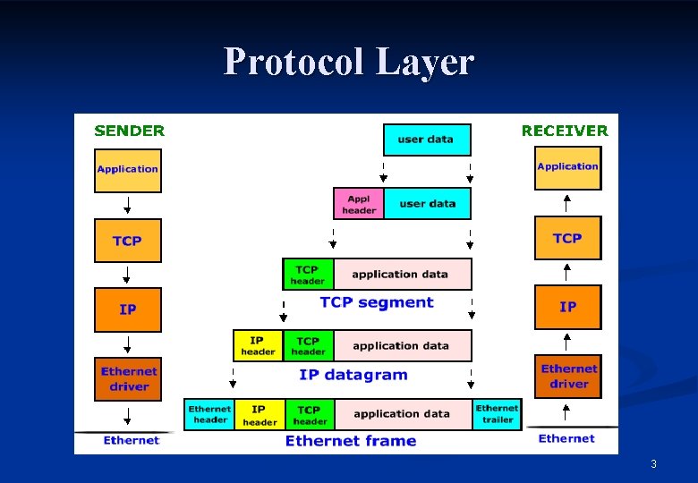 Protocol Layer 3 