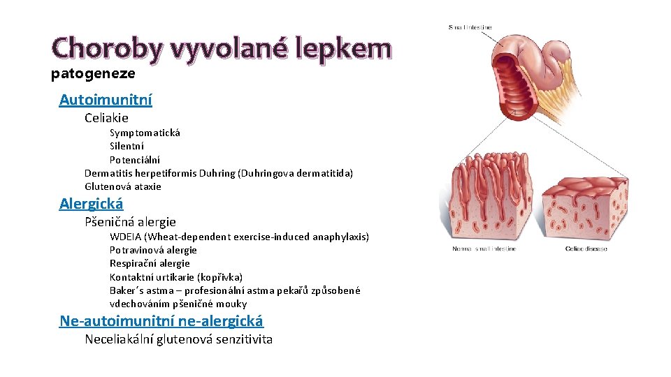 Choroby vyvolané lepkem patogeneze Autoimunitní Celiakie Symptomatická Silentní Potenciální Dermatitis herpetiformis Duhring (Duhringova dermatitida)