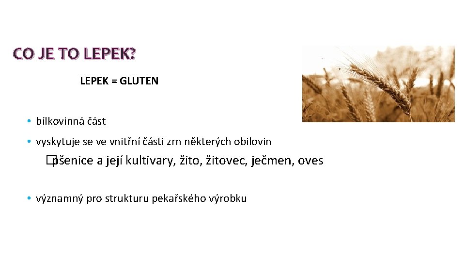 CO JE TO LEPEK? LEPEK = GLUTEN • bílkovinná část • vyskytuje se ve