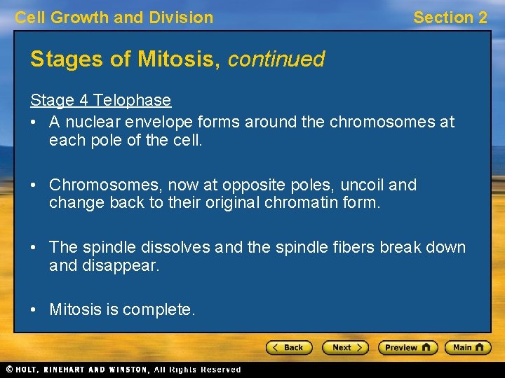 Cell Growth and Division Section 2 Stages of Mitosis, continued Stage 4 Telophase •