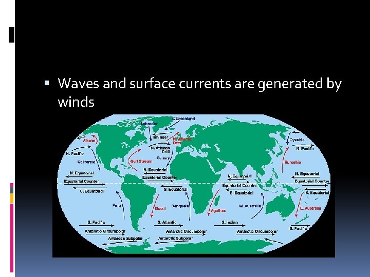  Waves and surface currents are generated by winds 