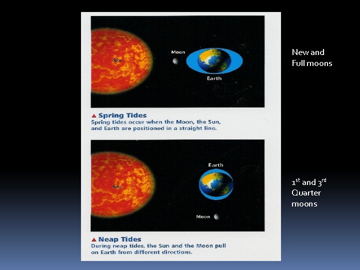 New and Full moons 1 st and 3 rd Quarter moons 