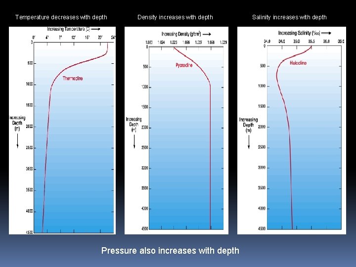 Temperature decreases with depth Density increases with depth Pressure also increases with depth Salinity