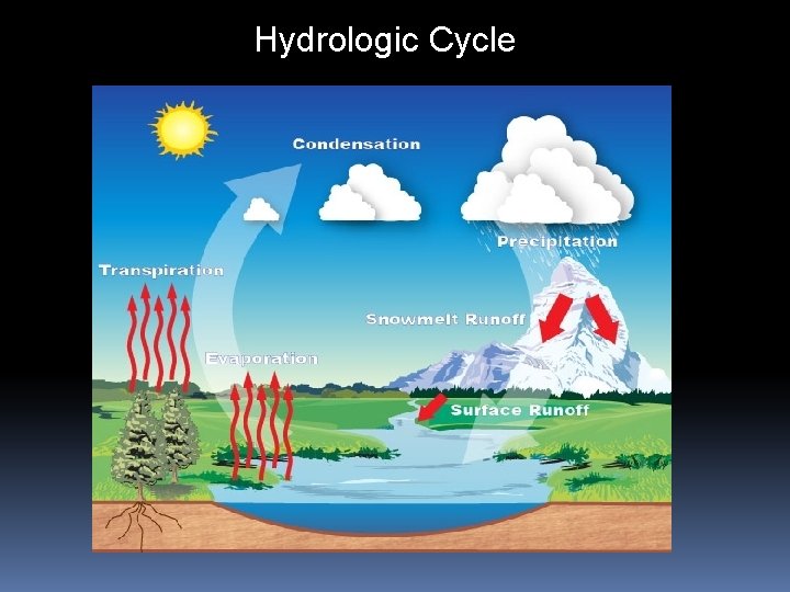 Hydrologic Cycle 