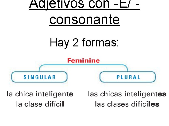 Adjetivos con -E/ consonante Hay 2 formas: 