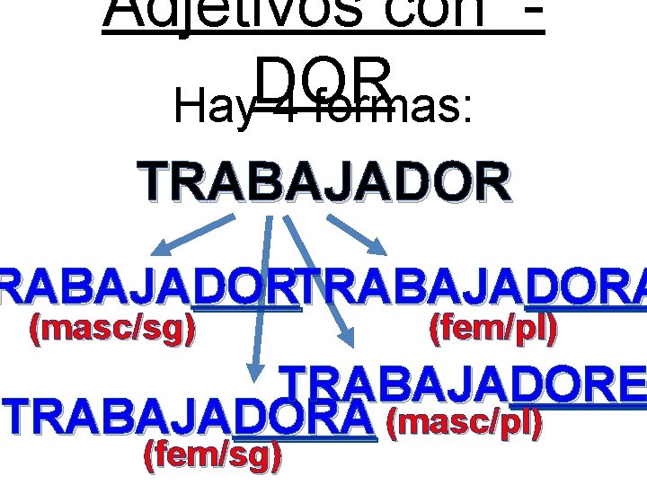 Adjetivos con DOR Hay 4 formas: TRABAJADORTRABAJADORA (masc/sg) (fem/pl) TRABAJADORE TRABAJADORA (masc/pl) (fem/sg) 