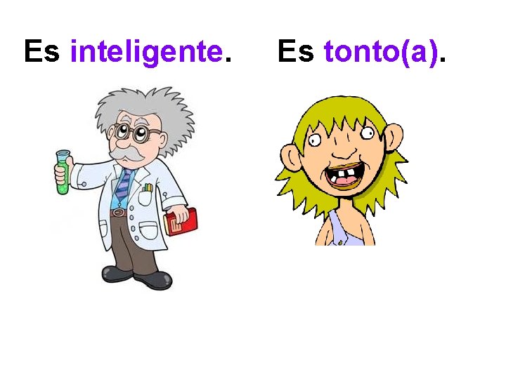 Es inteligente. Es tonto(a). 