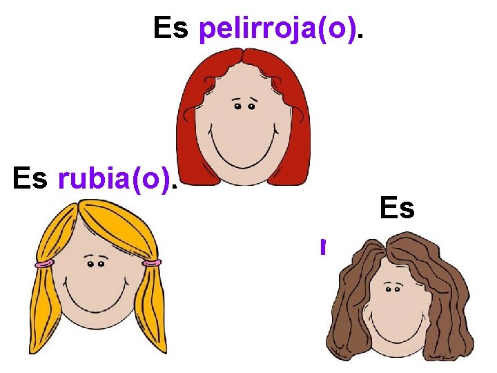 Es pelirroja(o). Es rubia(o). Es morena(o). 
