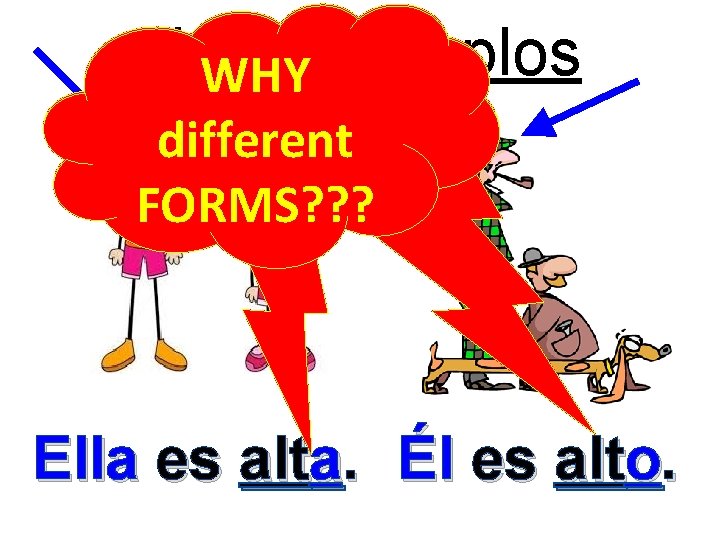 Unos Ejemplos WHY ¿¿SAY WHAT? ? different FORMS? ? ? Ella es alta. Él