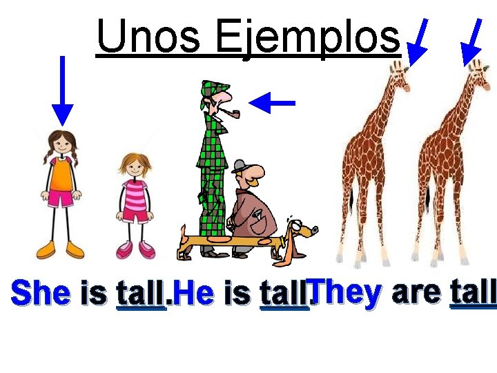 Unos Ejemplos T She is tall. He is tall. They. hey are tall 