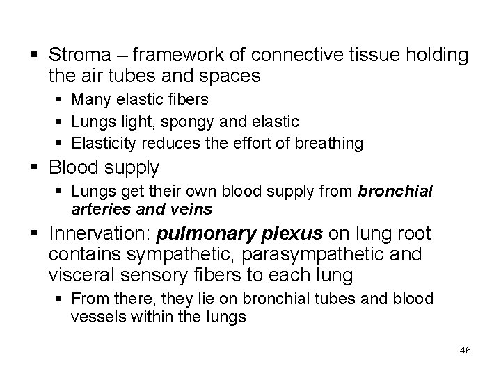 § Stroma – framework of connective tissue holding the air tubes and spaces §