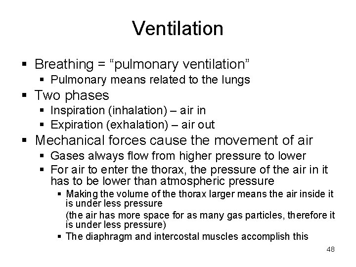 Ventilation § Breathing = “pulmonary ventilation” § Pulmonary means related to the lungs §