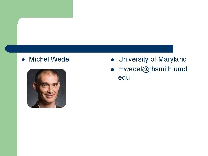l Michel Wedel l l University of Maryland mwedel@rhsmith. umd. edu 