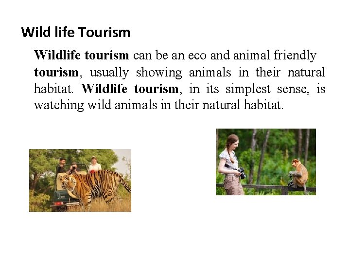 Wild life Tourism Wildlife tourism can be an eco and animal friendly tourism, usually