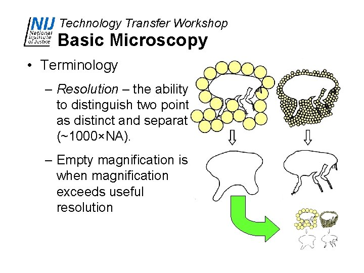 Technology Transfer Workshop Basic Microscopy • Terminology – Resolution – the ability to distinguish
