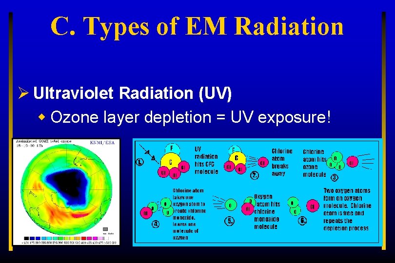 C. Types of EM Radiation Ø Ultraviolet Radiation (UV) w Ozone layer depletion =