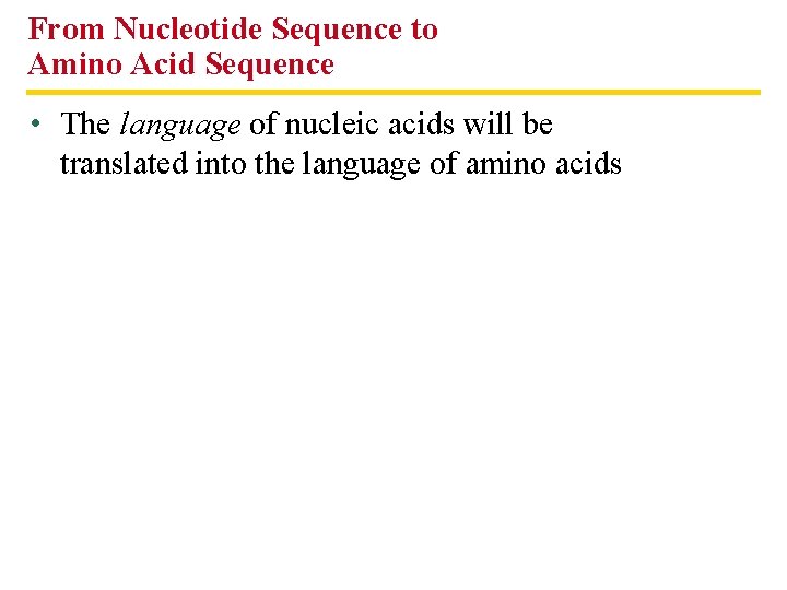 From Nucleotide Sequence to Amino Acid Sequence • The language of nucleic acids will