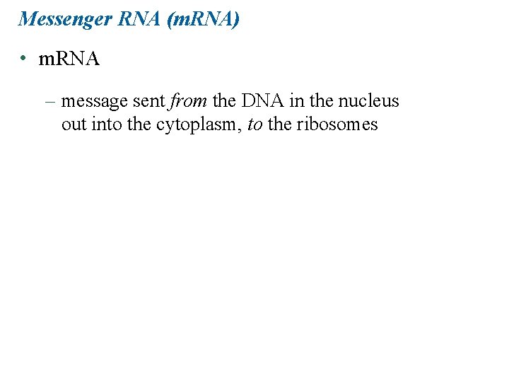 Messenger RNA (m. RNA) • m. RNA – message sent from the DNA in