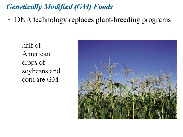 Genetically Modified (GM) Foods • DNA technology replaces plant-breeding programs – half of American