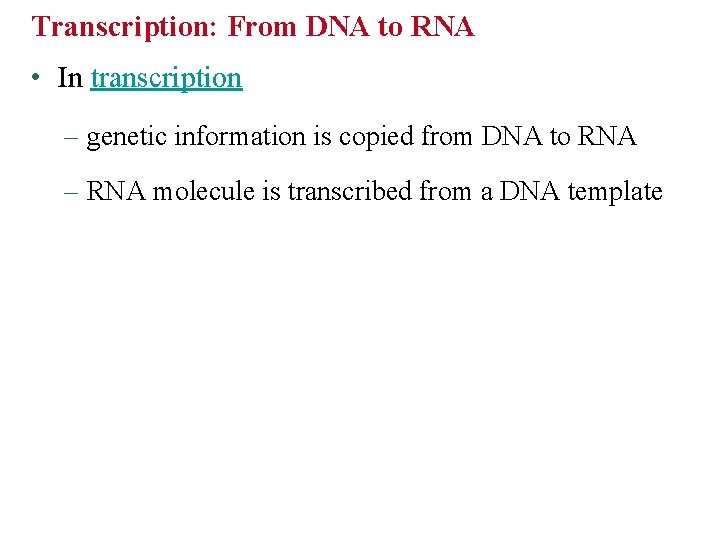 Transcription: From DNA to RNA • In transcription – genetic information is copied from