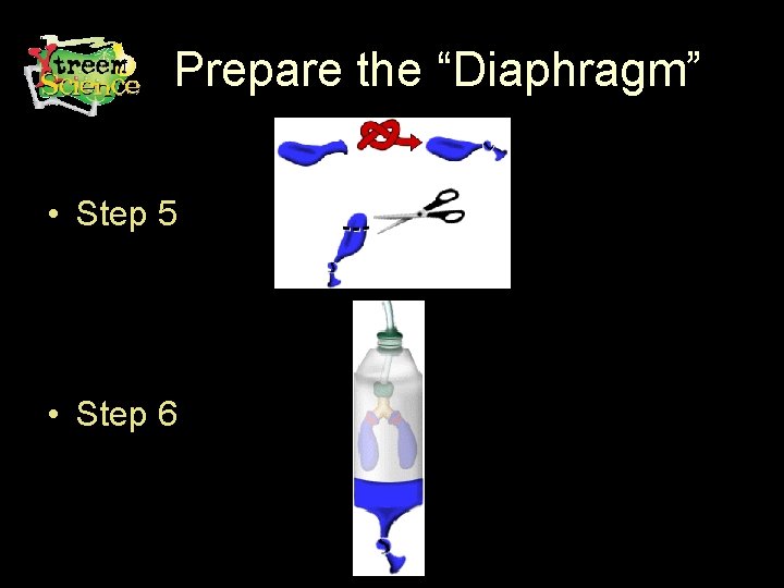 Prepare the “Diaphragm” • Step 5 • Step 6 