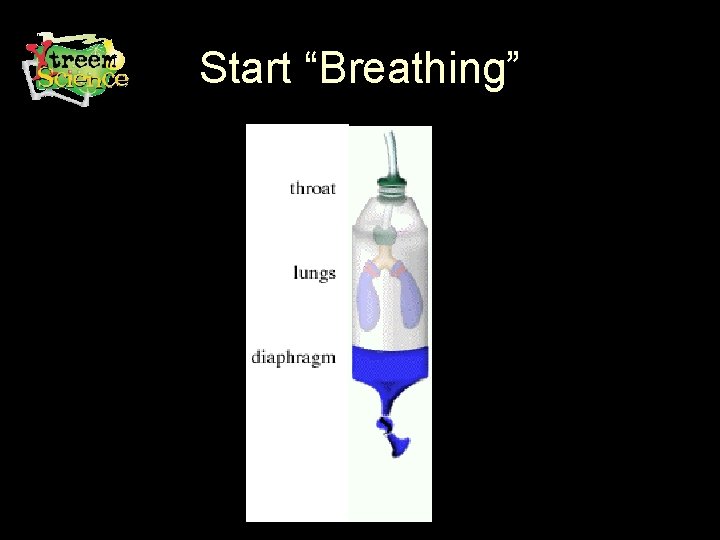 Start “Breathing” 