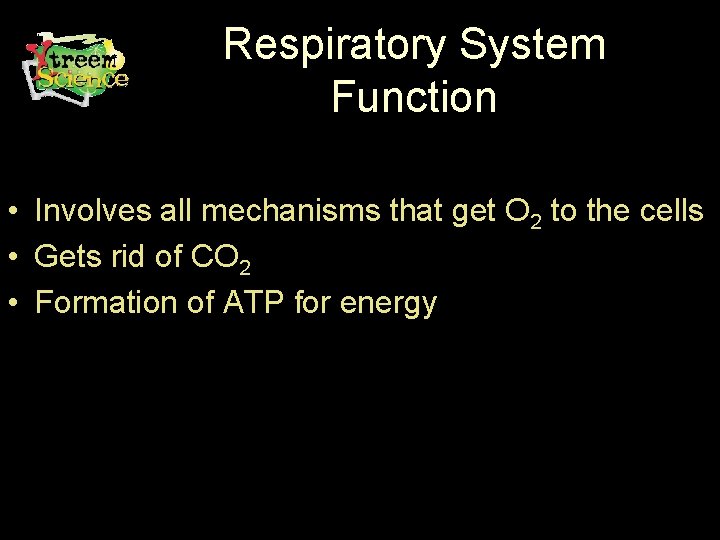 Respiratory System Function • Involves all mechanisms that get O 2 to the cells Respiratory System Function • Involves all mechanisms that get O 2 to the cells