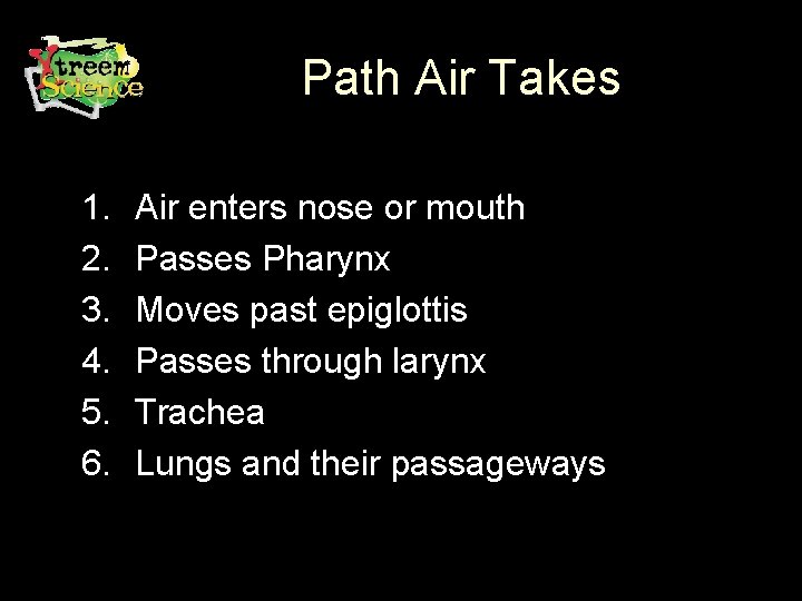 Path Air Takes 1. 2. 3. 4. 5. 6. Air enters nose or mouth