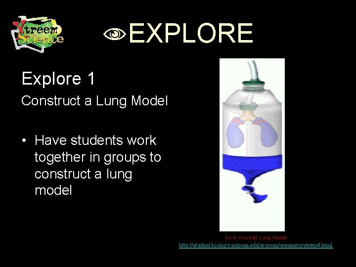 MODEL EXPLORE Explore 1 Construct a Lung Model • Have students work together in