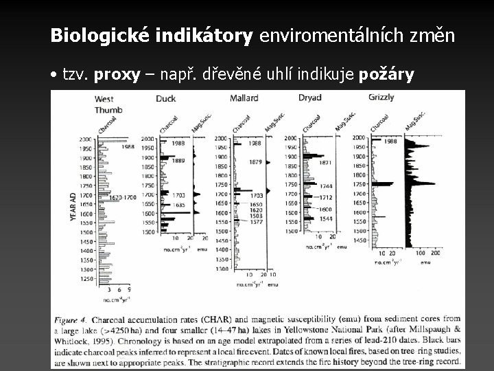 Biologické indikátory enviromentálních změn • tzv. proxy – např. dřevěné uhlí indikuje požáry Biologické indikátory enviromentálních změn • tzv. proxy – např. dřevěné uhlí indikuje požáry