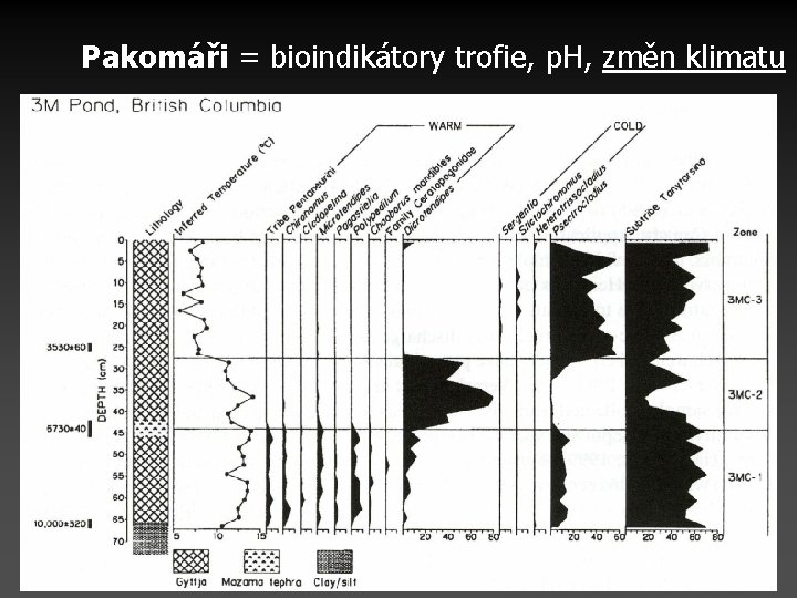 Pakomáři = bioindikátory trofie, p. H, změn klimatu 