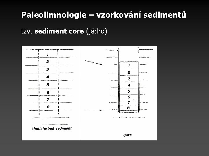 Paleolimnologie – vzorkování sedimentů tzv. sediment core (jádro) 