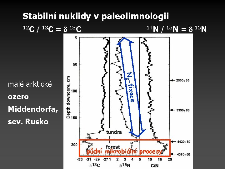Stabilní nuklidy v paleolimnologii 12 C / 13 C = 13 C ce ozero