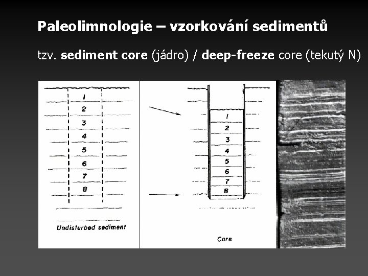 Paleolimnologie – vzorkování sedimentů tzv. sediment core (jádro) / deep-freeze core (tekutý N) 