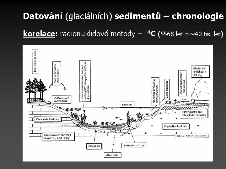 Datování (glaciálních) sedimentů – chronologie korelace: radionuklidové metody – 14 C (5568 let =