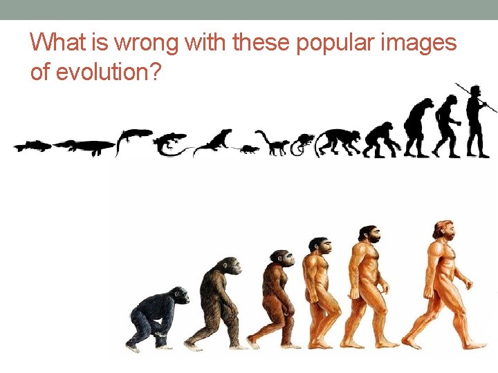 What is wrong with these popular images of evolution? 