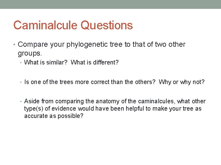 Caminalcule Questions • Compare your phylogenetic tree to that of two other groups. •