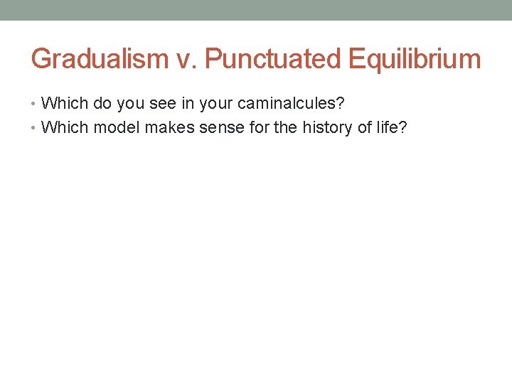 Gradualism v. Punctuated Equilibrium • Which do you see in your caminalcules? • Which