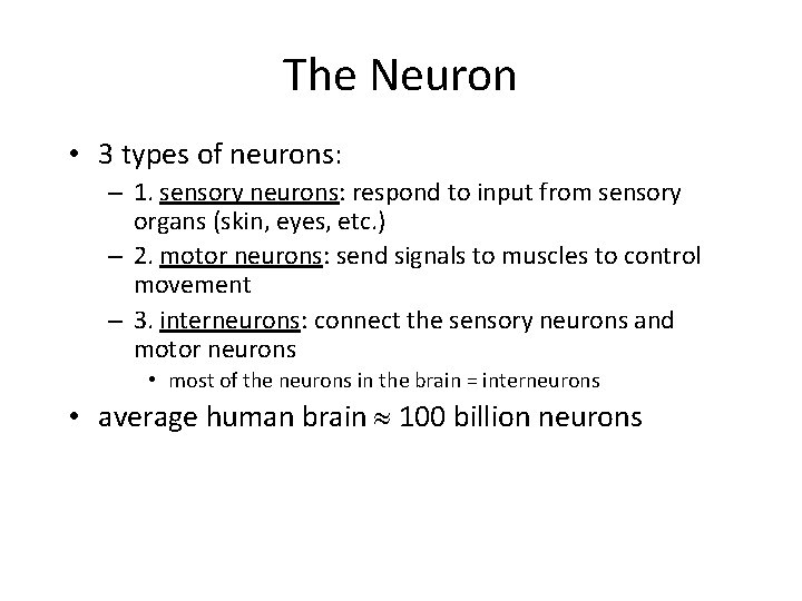 The Neuron • 3 types of neurons: – 1. sensory neurons: respond to input