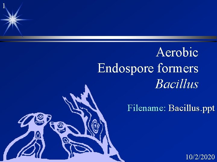 1 Aerobic Endospore formers Bacillus Filename: Bacillus. ppt 10/2/2020 