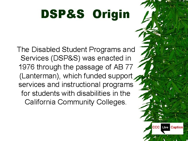 DSP&S Origin The Disabled Student Programs and Services (DSP&S) was enacted in 1976 through