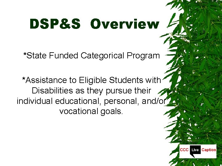 DSP&S Overview *State Funded Categorical Program *Assistance to Eligible Students with Disabilities as they
