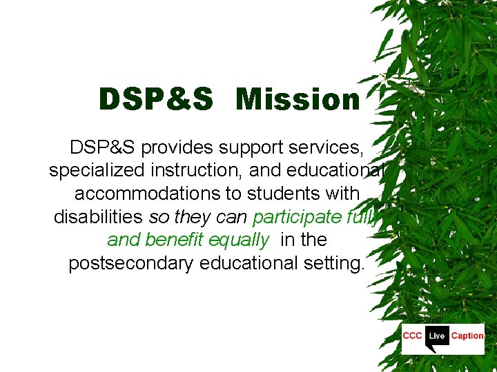 DSP&S Mission DSP&S provides support services, specialized instruction, and educational accommodations to students with