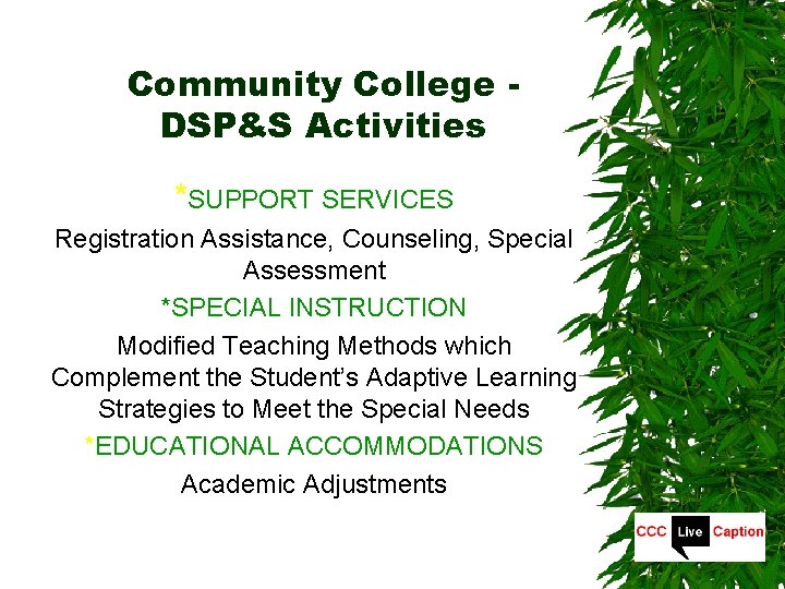 Community College DSP&S Activities *SUPPORT SERVICES Registration Assistance, Counseling, Special Assessment *SPECIAL INSTRUCTION Modified