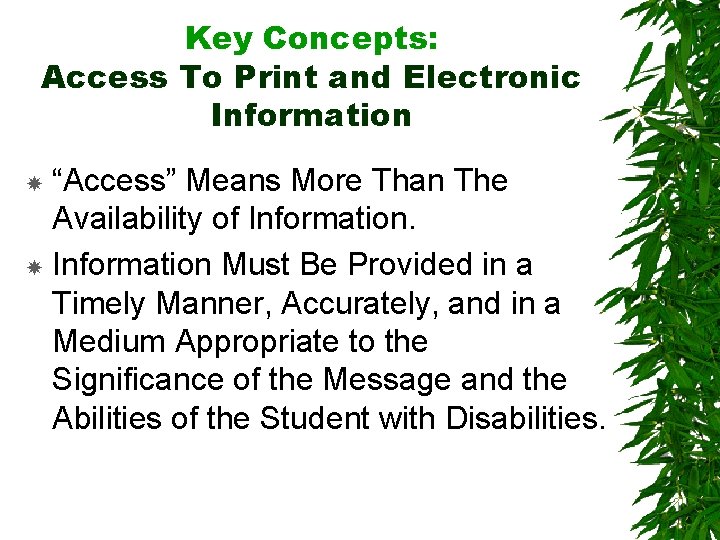 Key Concepts: Access To Print and Electronic Information “Access” Means More Than The Availability
