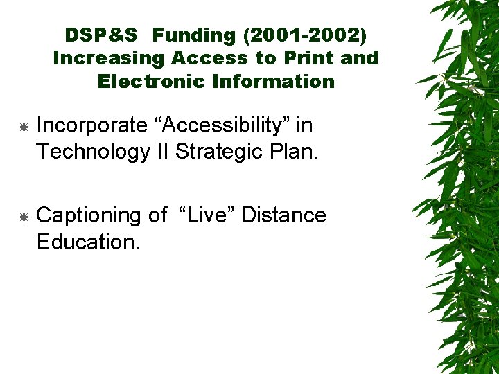 DSP&S Funding (2001 -2002) Increasing Access to Print and Electronic Information Incorporate “Accessibility” in