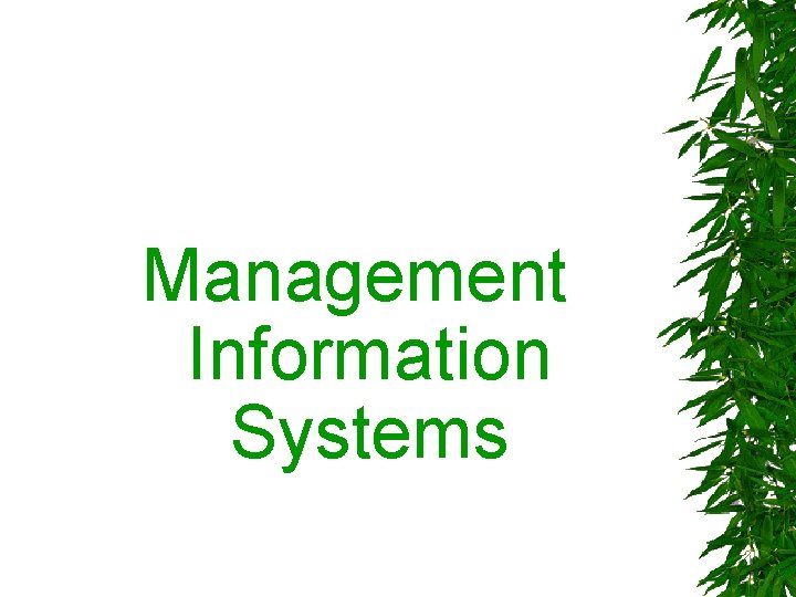 Management Information Systems 