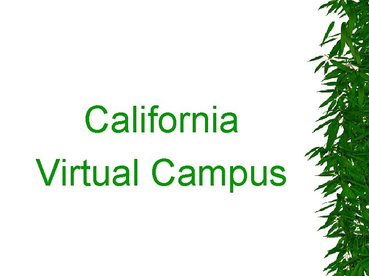 California Virtual Campus 