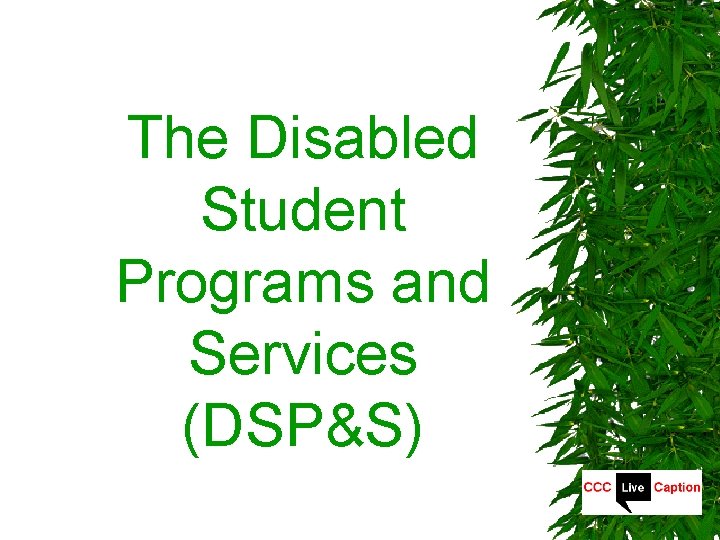 The Disabled Student Programs and Services (DSP&S) 