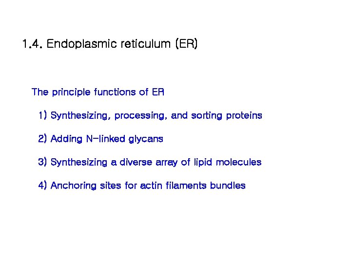1. 4. Endoplasmic reticulum (ER) The principle functions of ER 1) Synthesizing, processing, and 1. 4. Endoplasmic reticulum (ER) The principle functions of ER 1) Synthesizing, processing, and